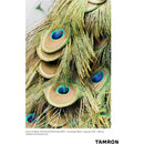 Tamron 70-300mm f/4.5-6.3 Di III RXD Objectif pour Sony E