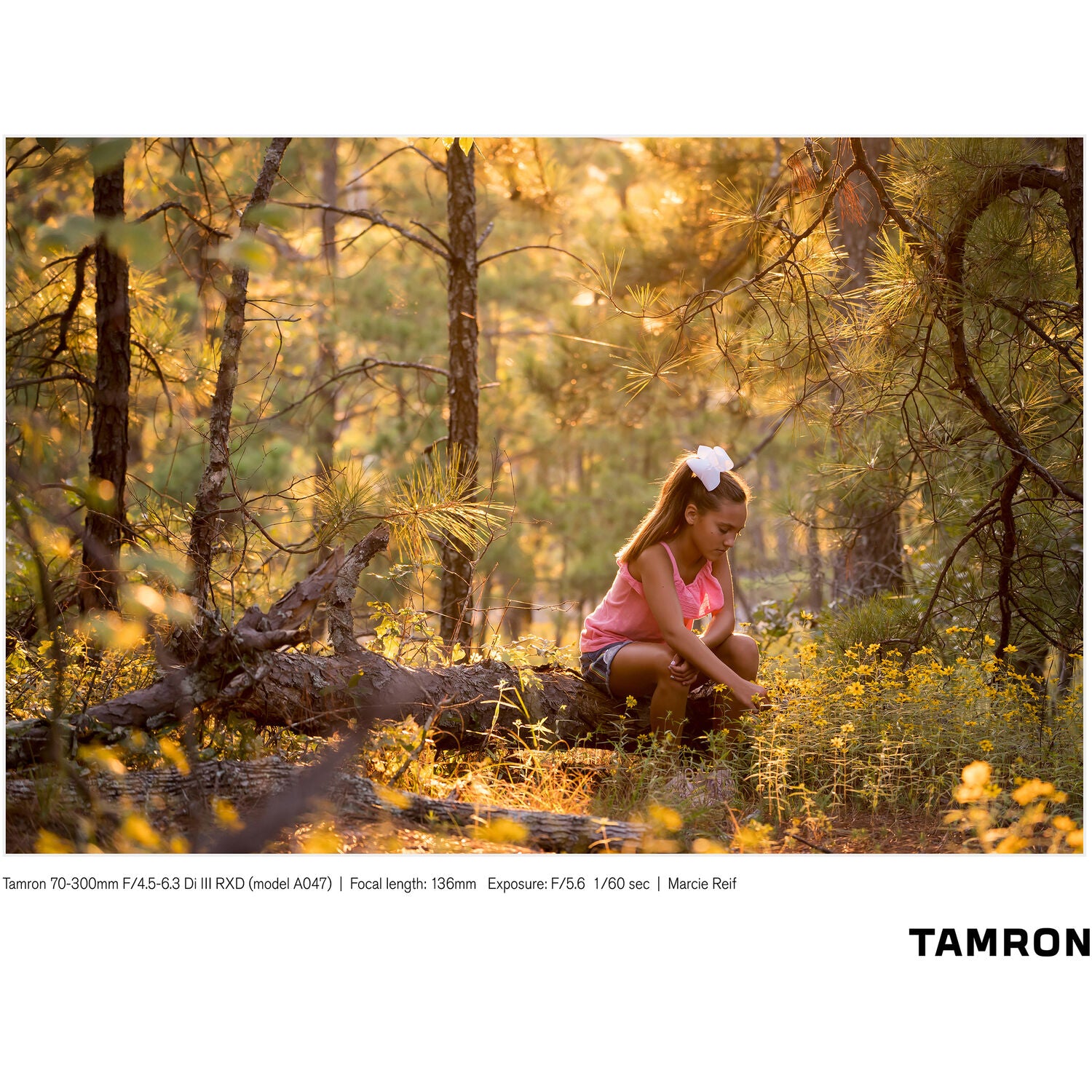 Tamron 70-300mm f/4.5-6.3 Di III RXD Objectif pour Sony E