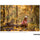 Tamron 70-300mm f/4.5-6.3 Di III RXD Objectif pour Sony E