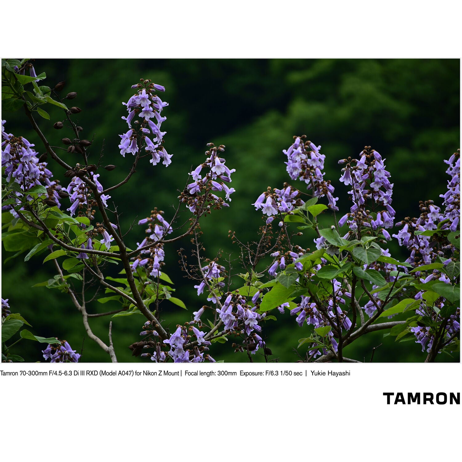 Tamron 70-300mm f/4.5-6.3 Di III RXD Lens for Nikon Z