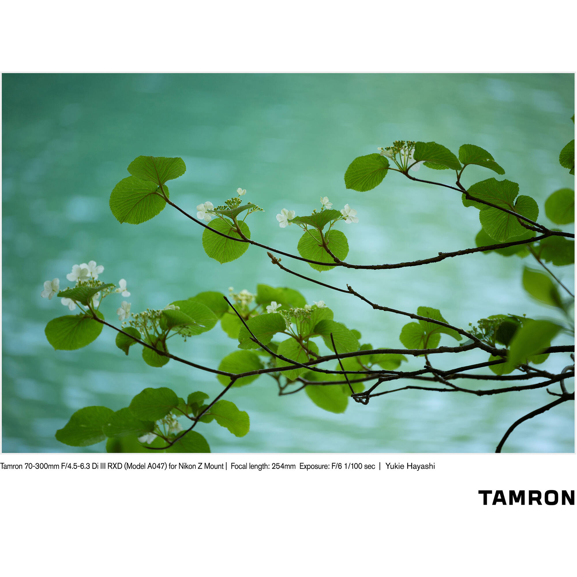 Tamron 70-300mm f/4.5-6.3 Di III RXD Lens for Nikon Z
