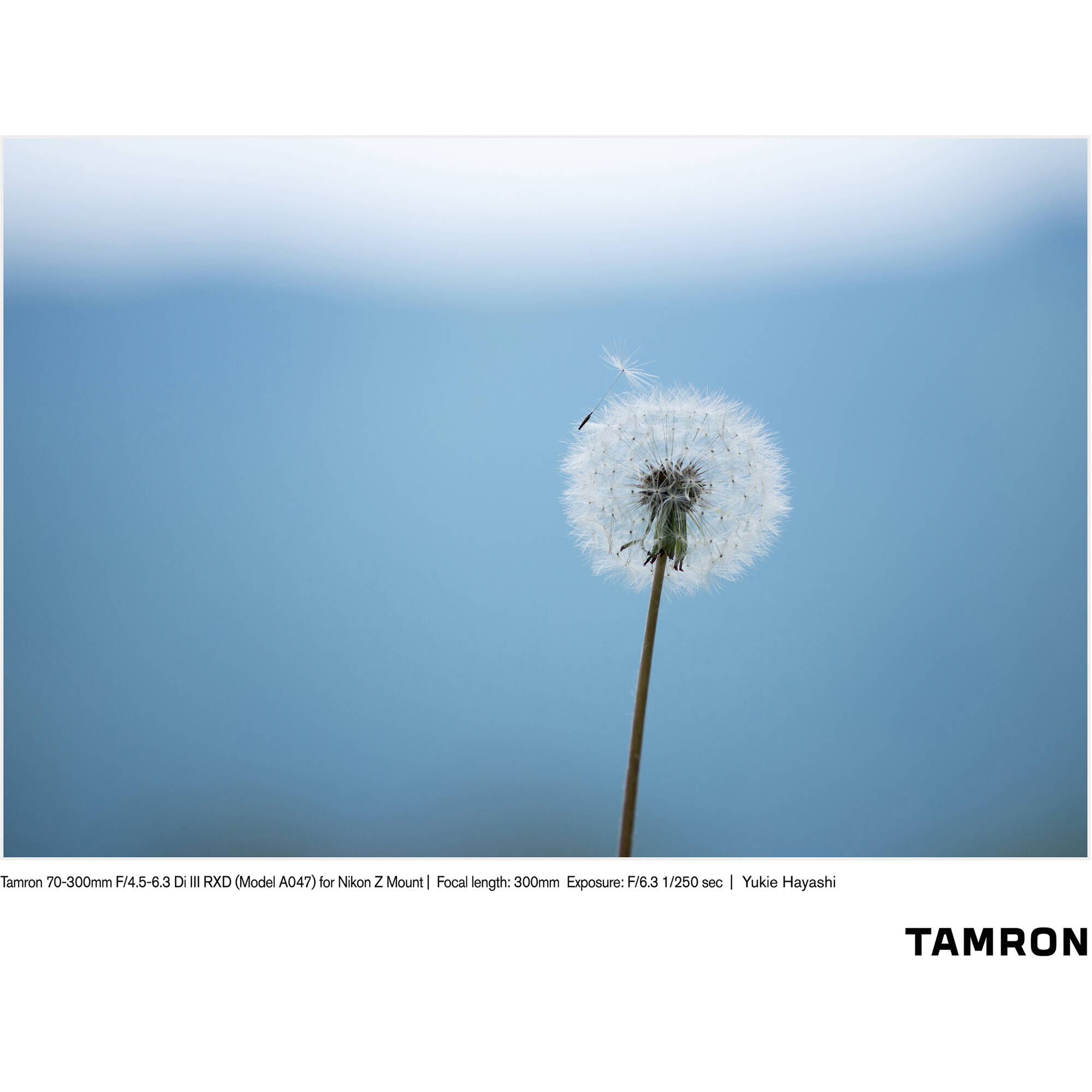 Tamron 70-300mm f/4.5-6.3 Di III RXD Lens for Nikon Z