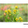 Tamron 70-300mm f/4.5-6.3 Di III RXD Lens for Nikon Z