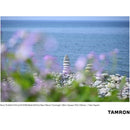 Tamron 70-300mm f/4.5-6.3 Di III RXD Lens for Nikon Z