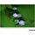 Tamron 70-300mm f/4.5-6.3 Di III RXD Lens for Nikon Z