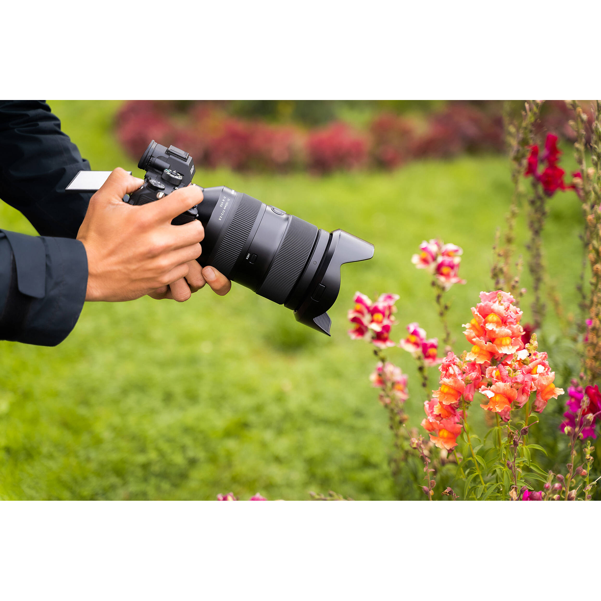 Tamron 35-150mm f/2-2.8 Di III VXD Lens (Sony E) | ExcellentPhoto.ca