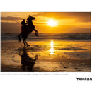 Tamron 35-150mm f/2-2.8 Di III VXD Lens (Sony E)