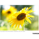 Tamron 35-150mm f/2-2.8 Di III VXD Lens (Sony E)