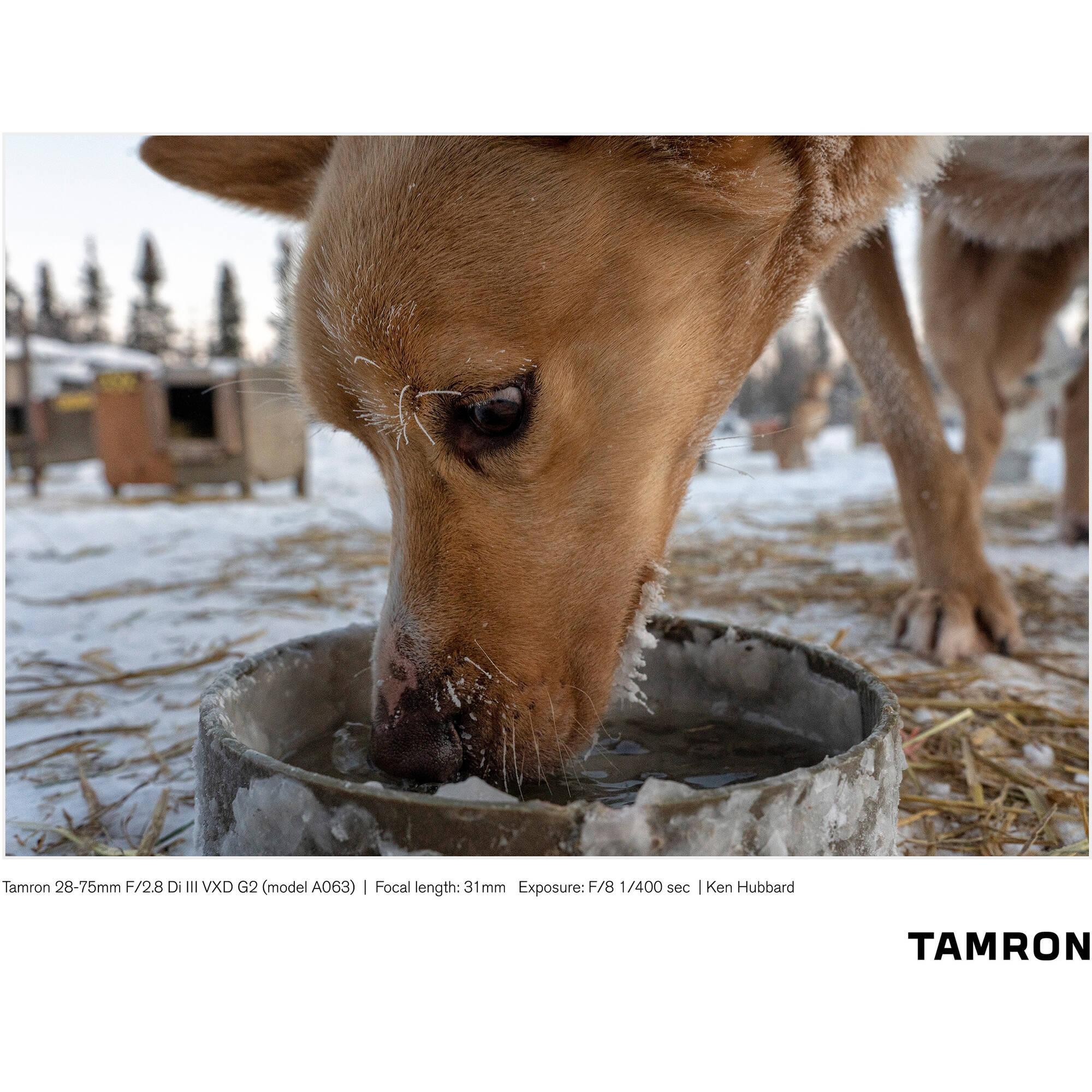 Tamron 28-75mm f/2.8 Di III VXD G2 Lens (Sony E)