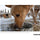 Tamron 28-75mm f/2.8 Di III VXD G2 Objectif (Sony E)