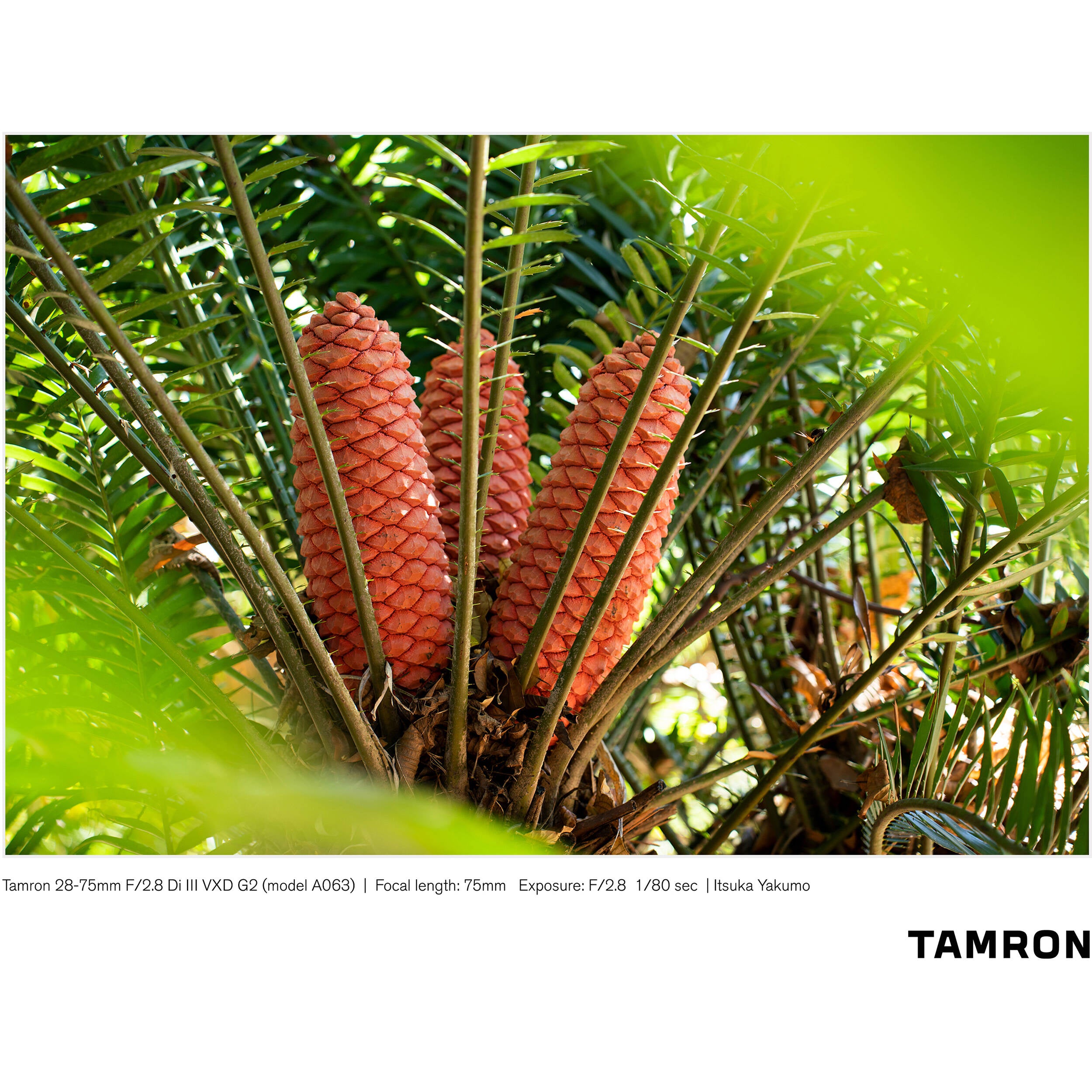 Tamron 28-75mm f/2.8 Di III VXD G2 Lens (Sony E)