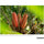 Tamron 28-75mm f/2.8 Di III VXD G2 Objectif (Sony E)