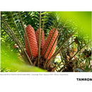 Tamron 28-75mm f/2.8 Di III VXD G2 Lens (Sony E)