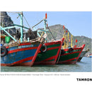 Tamron 28-75mm f/2.8 Di III VXD G2 Objectif (NikonZ)