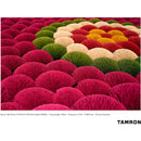 Tamron 28-75mm f/2.8 Di III VXD G2 Objectif (NikonZ)