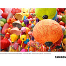 Tamron 28-75mm f/2.8 Di III VXD G2 Objectif (NikonZ)