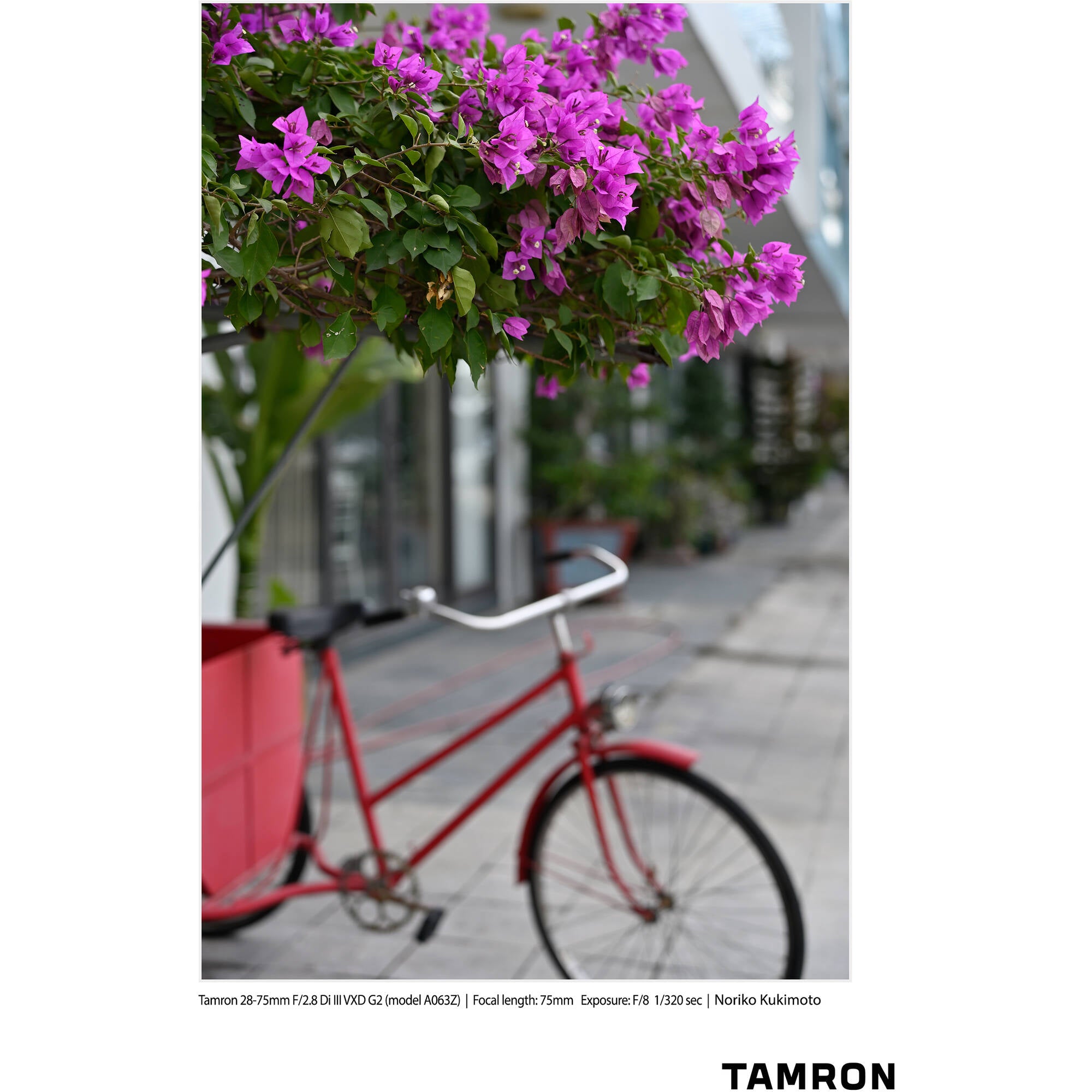 Tamron 28-75mm f/2.8 Di III VXD G2 Lens (Nikon Z)