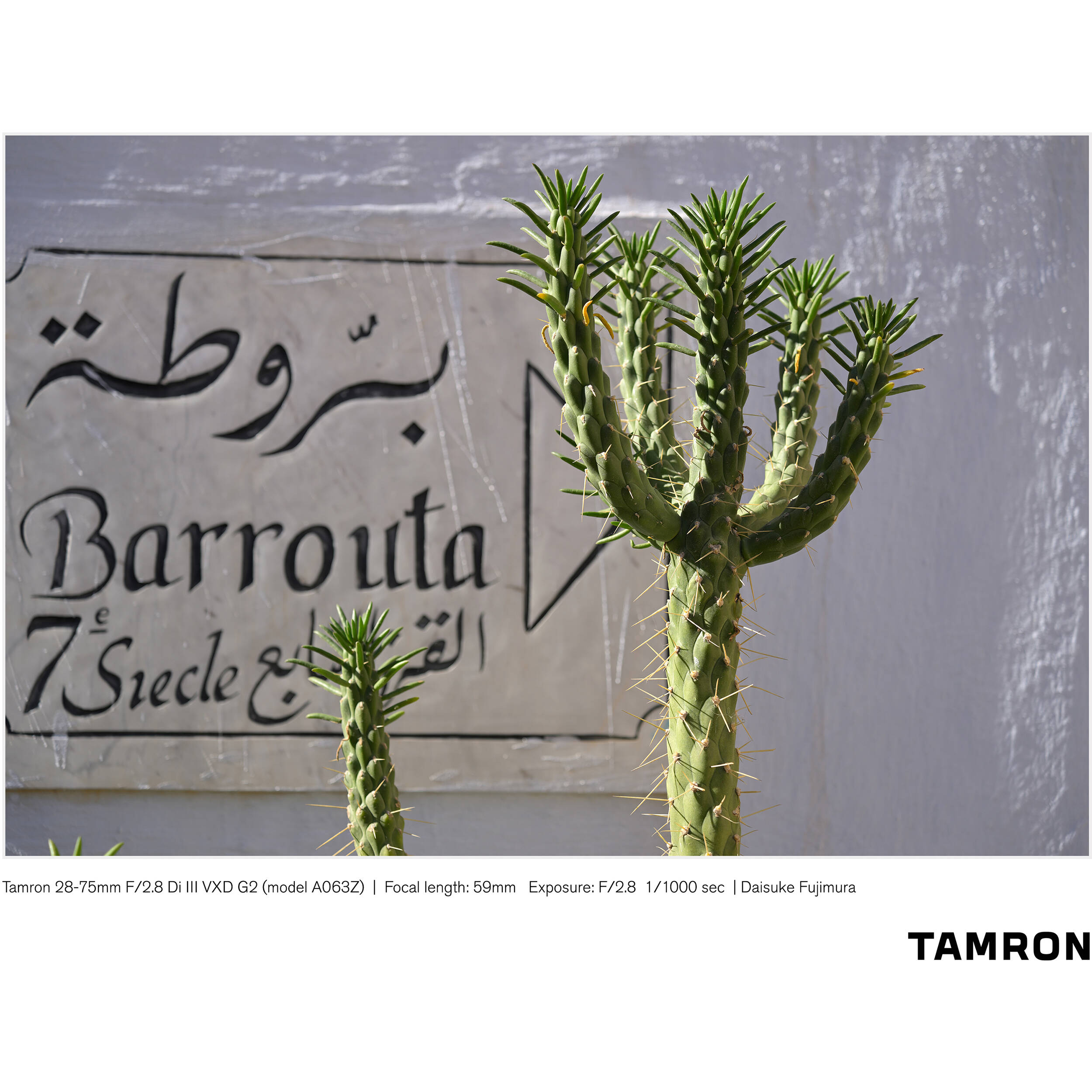 Tamron 28-75mm f/2.8 Di III VXD G2 Lens (Nikon Z)