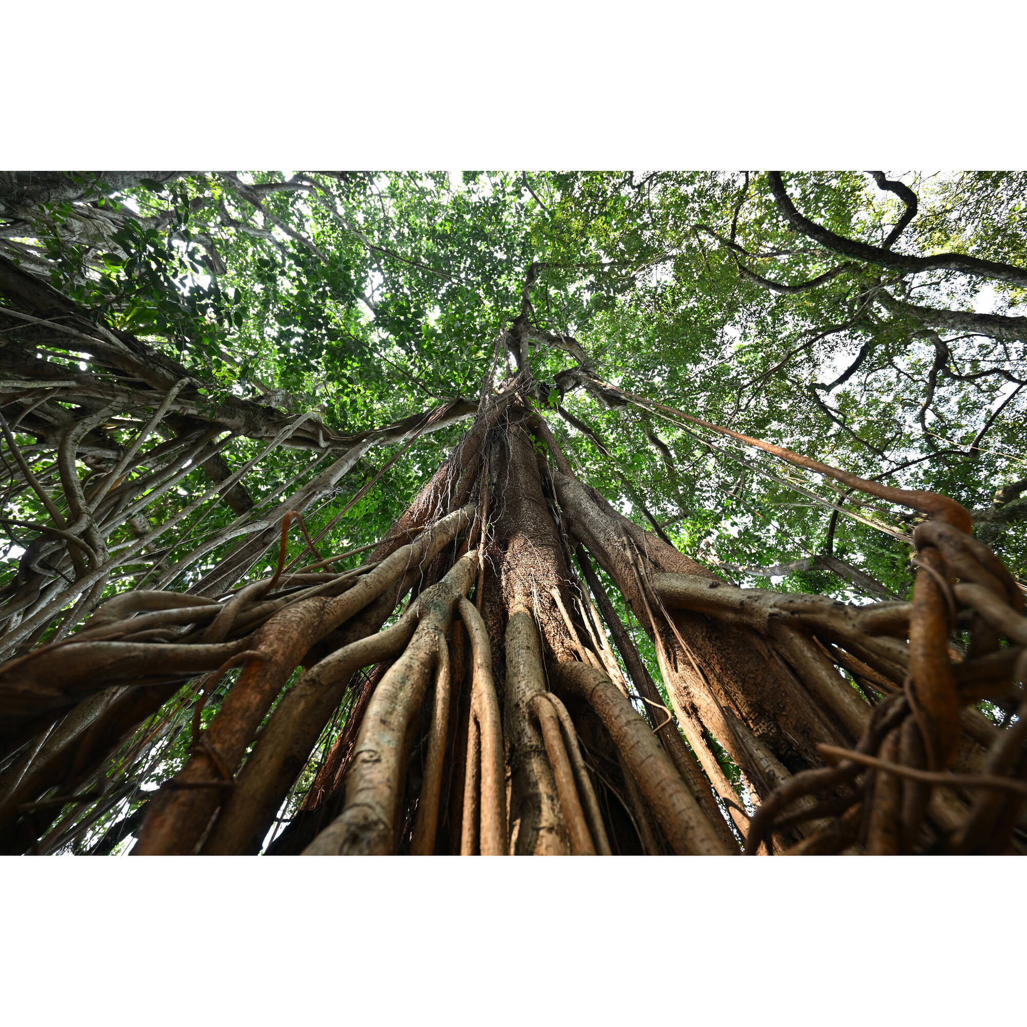 Tamron 16-30 mm f / 2,8 DI III VXD G2 Objectif (Sony E)