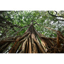 Tamron 16-30 mm f / 2,8 DI III VXD G2 Objectif (Sony E)