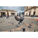 Tamron 16-30 mm f / 2,8 DI III VXD G2 Objectif (Sony E)