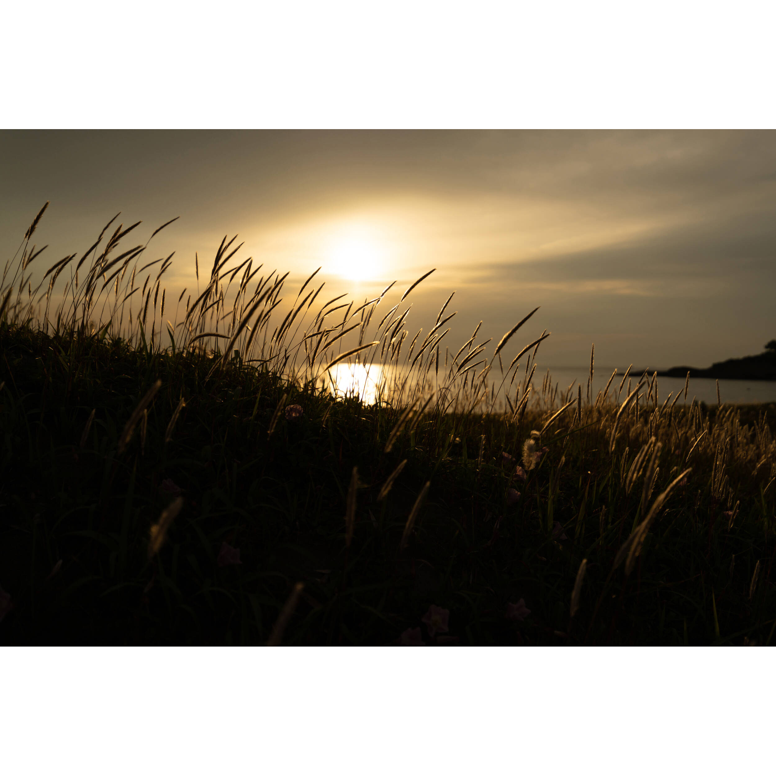 Tamron 16-30mm f/2.8 Di III VXD G2 Lens (Nikon Z)