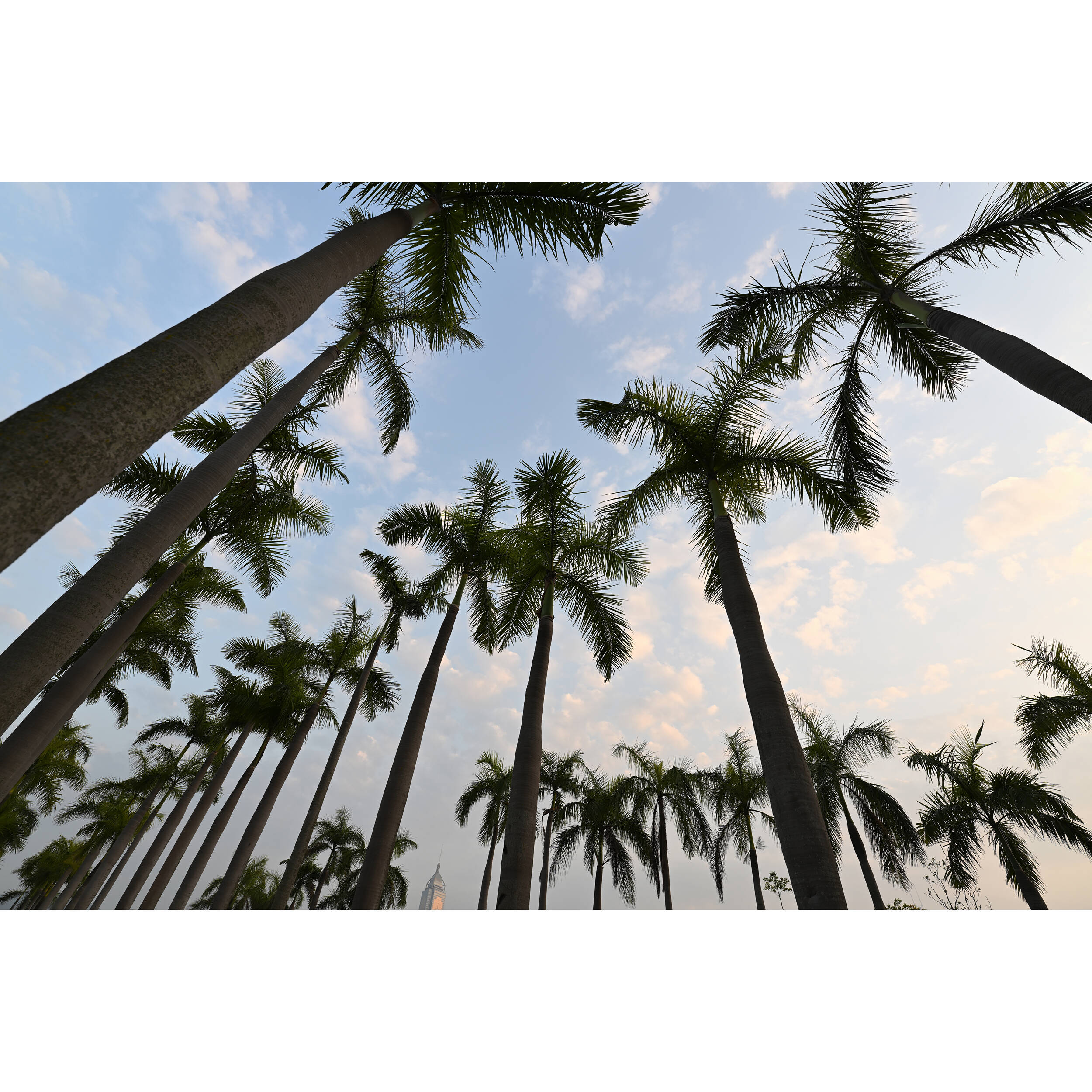 Tamron 16-30mm f/2.8 Di III VXD G2 Lens (Nikon Z)