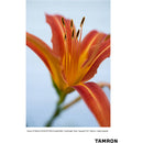Tamron 70-180mm f/2.8 Di III VC VXD G2 Objectif (Sony E)