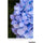 Tamron 70-180mm f/2.8 Di III VC VXD G2 Objectif (Sony E)