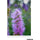 Tamron 70-180mm f/2.8 Di III VC VXD G2 Objectif (Sony E)