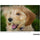 Tamron 70-180mm f/2.8 Di III VC VXD G2 Objectif (Sony E)