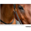 Tamron 70-180mm f/2.8 Di III VC VXD G2 Objectif (Sony E)