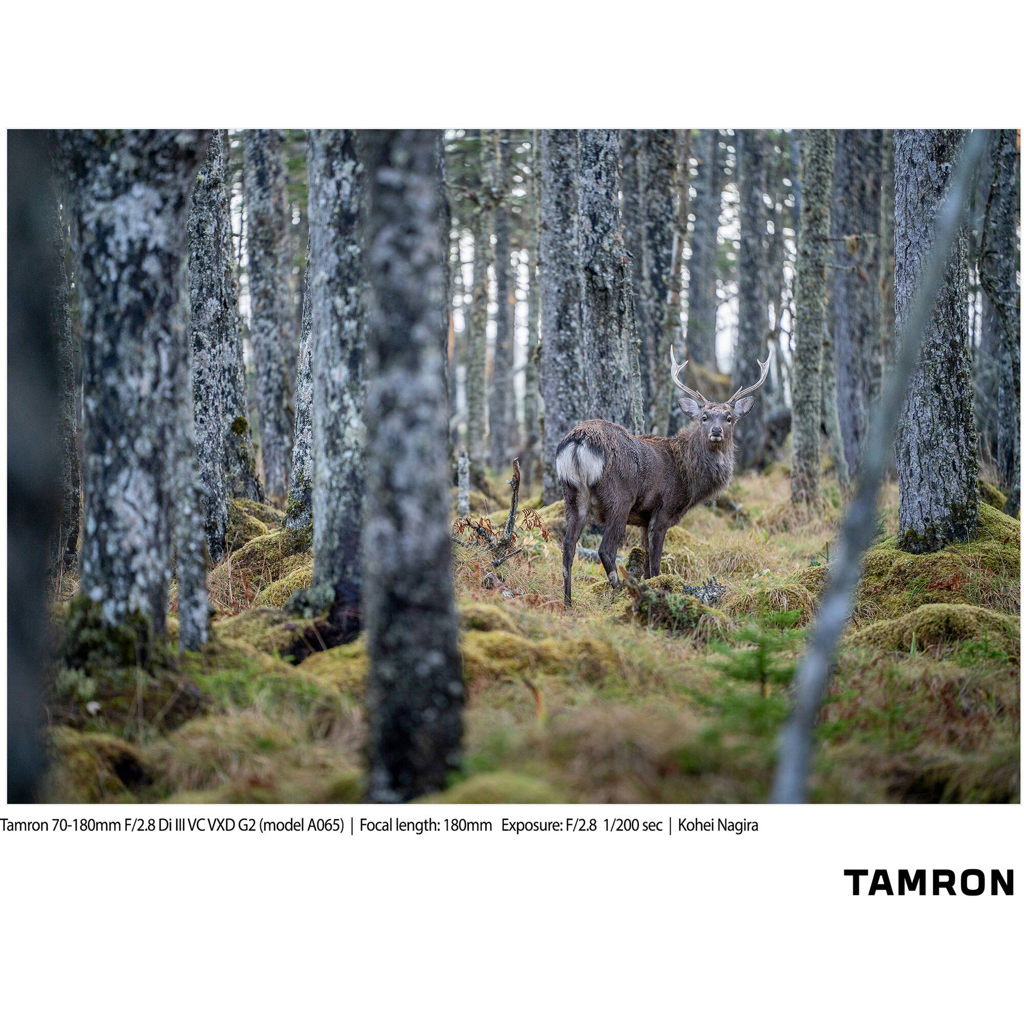 Tamron 70-180mm f/2.8 Di III VC VXD G2 Objectif (Sony E)