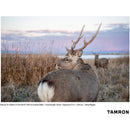 Tamron 70-180mm f/2.8 Di III VC VXD G2 Objectif (Sony E)