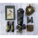 Tamron 50-400mm f/4.5-6.3 Di III VC VXD Objectif (Sony E)