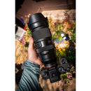 Tamron 50-400mm f/4.5-6.3 Di III VC VXD Objectif (Sony E)