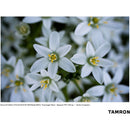 Tamron 50-400mm f/4.5-6.3 Di III VC VXD Objectif (Sony E)