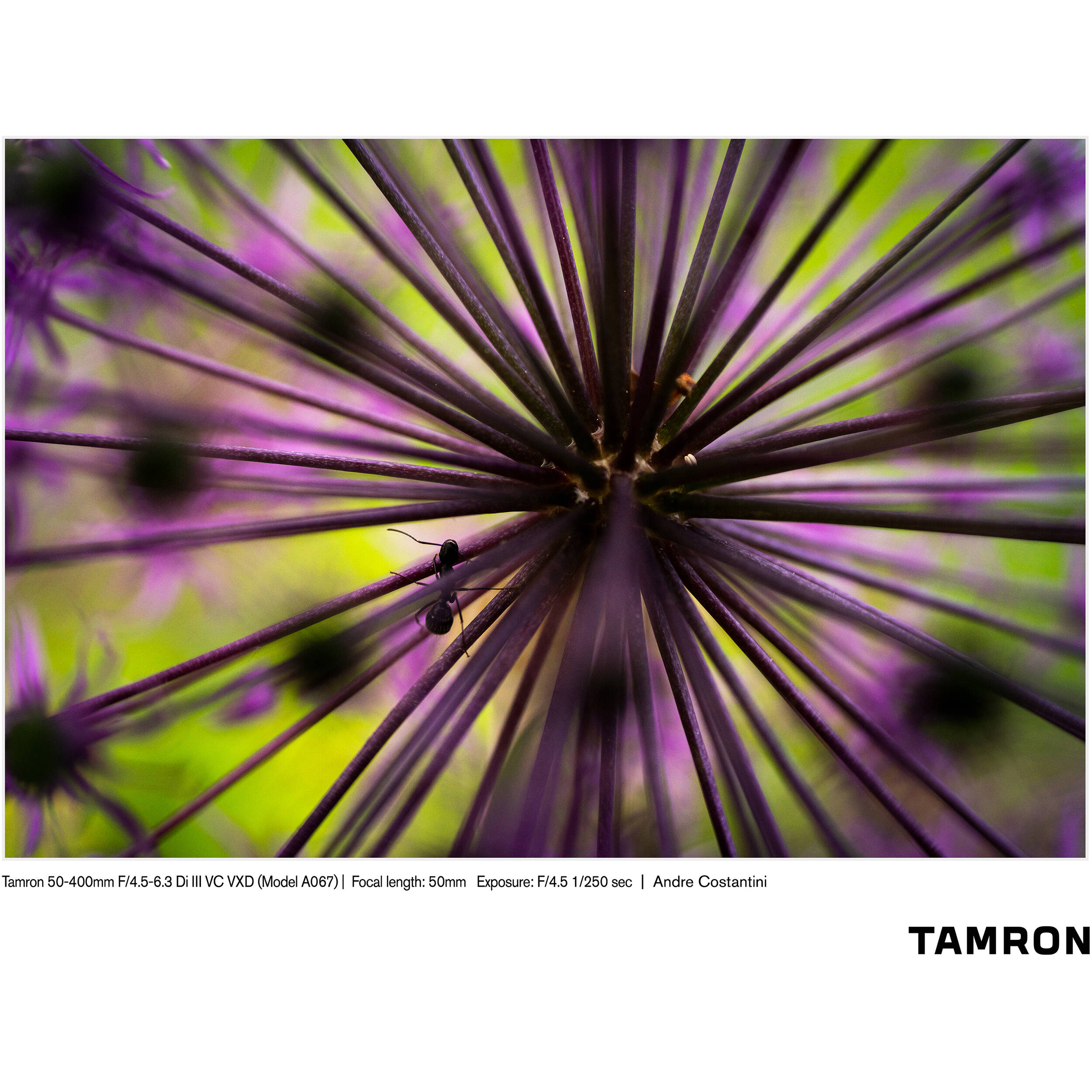 Tamron 50-400mm f/4.5-6.3 Di III VC VXD Objectif (Sony E)