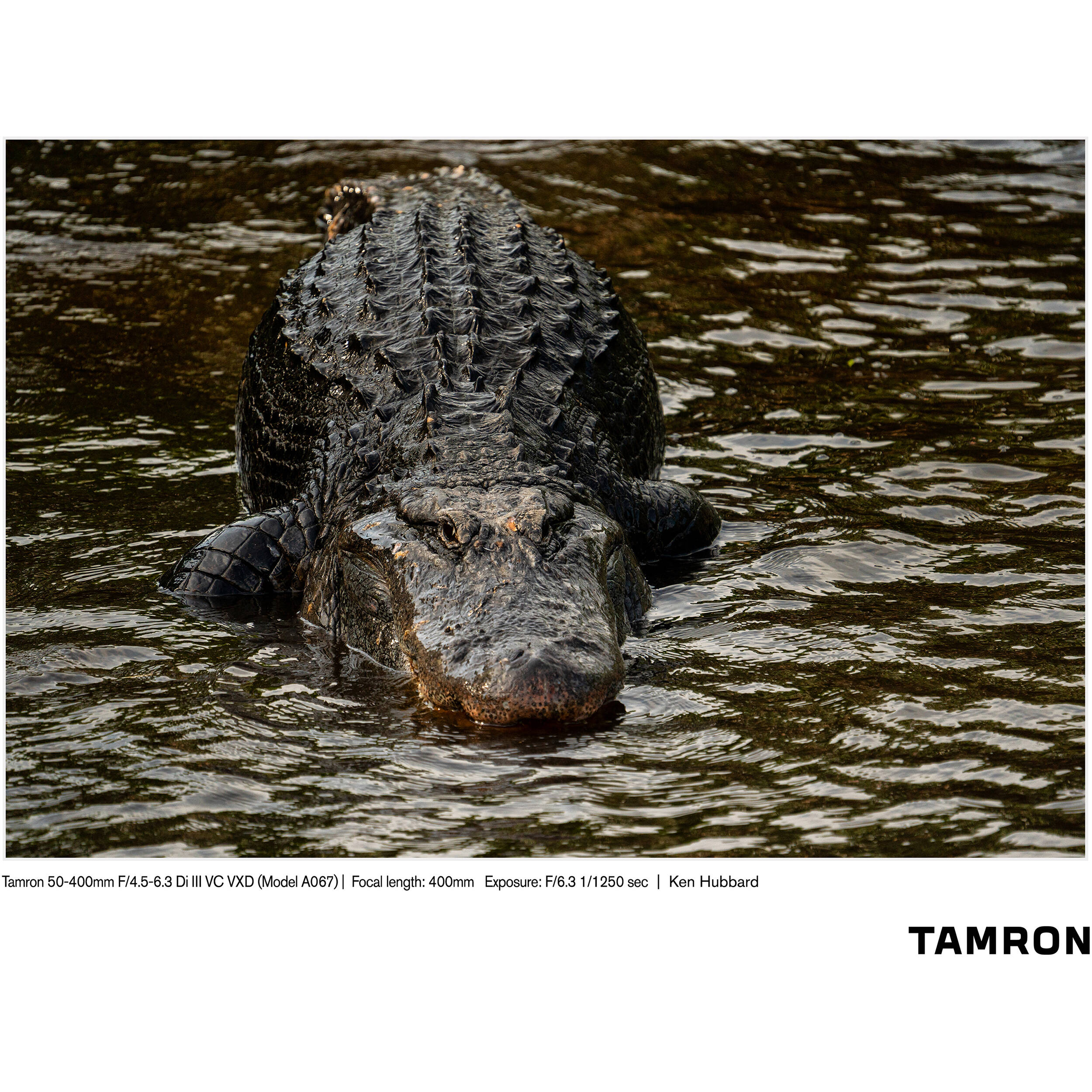 Tamron 50-400mm f/4.5-6.3 Di III VC VXD Objectif (Sony E)