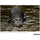 Tamron 50-400mm f/4.5-6.3 Di III VC VXD Objectif (Sony E)