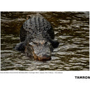 Tamron 50-400mm f/4.5-6.3 Di III VC VXD Objectif (Sony E)