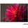 Tamron 50-400mm f/4.5-6.3 Di III VC VXD Objectif (Sony E)