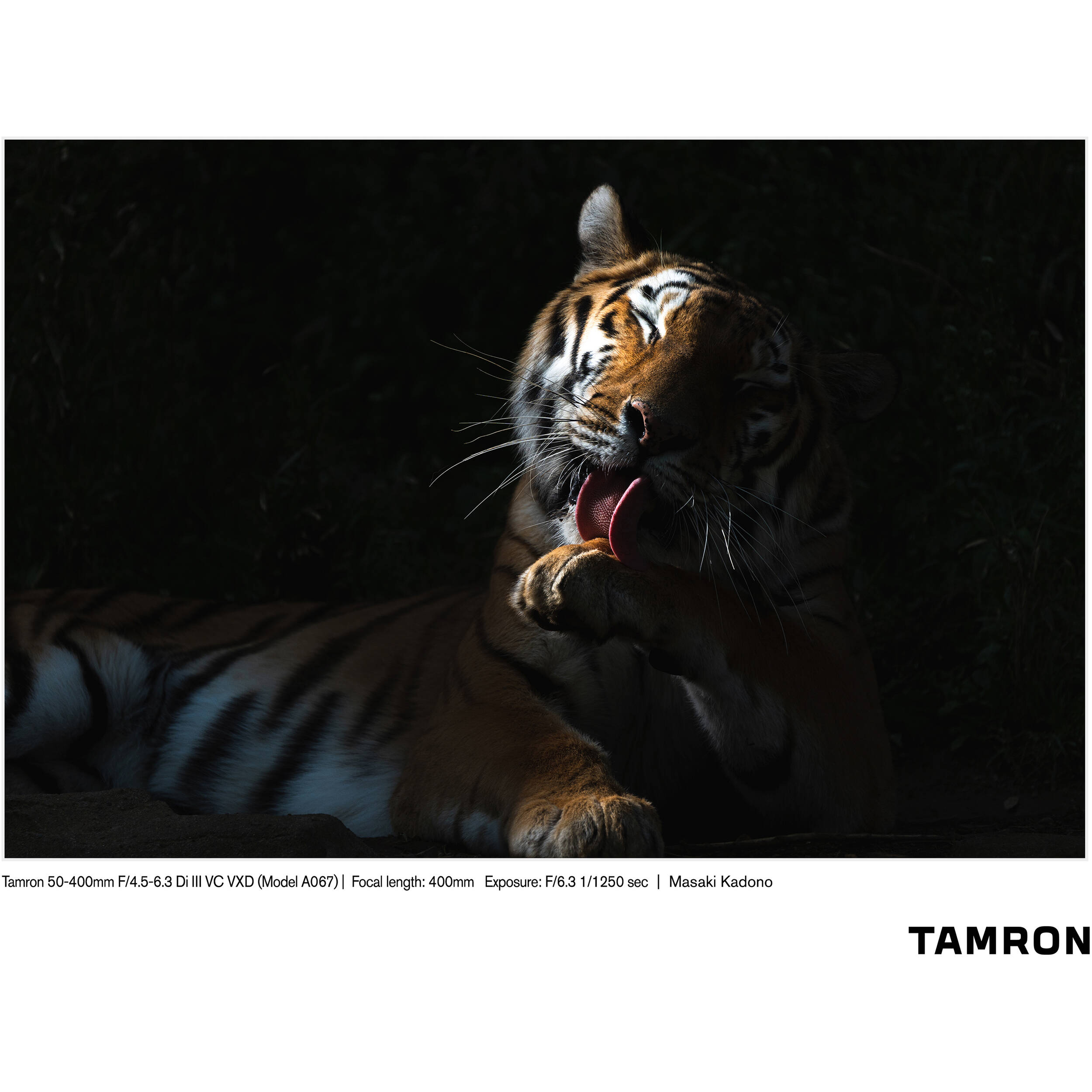 Tamron 50-400mm f/4.5-6.3 Di III VC VXD Objectif (Sony E)