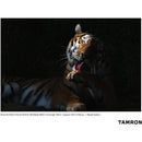 Tamron 50-400mm f/4.5-6.3 Di III VC VXD Objectif (Sony E)