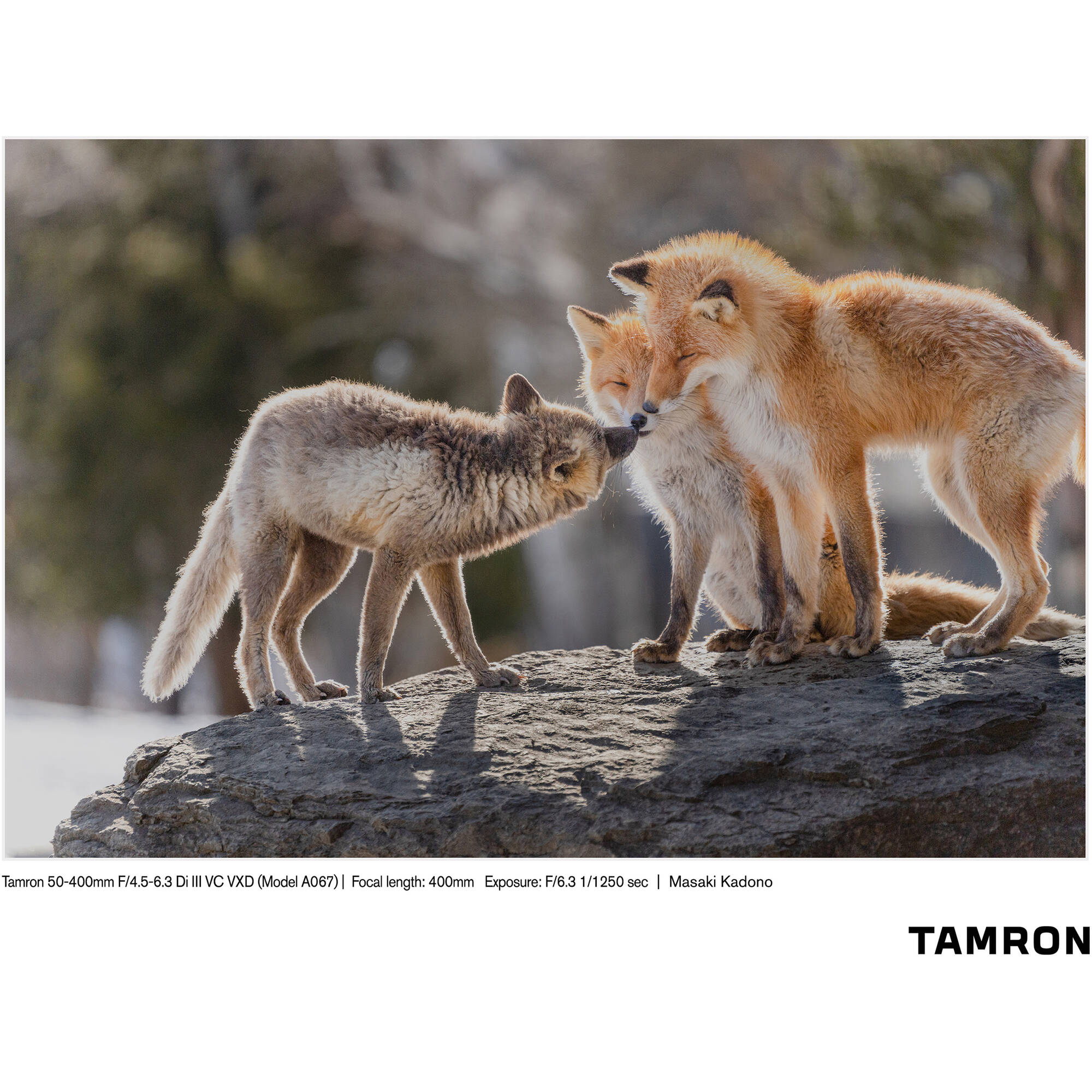 Tamron 50-400mm f/4.5-6.3 Di III VC VXD Objectif (Sony E)