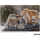 Tamron 50-400mm f/4.5-6.3 Di III VC VXD Objectif (Sony E)