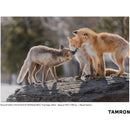 Tamron 50-400mm f/4.5-6.3 Di III VC VXD Objectif (Sony E)