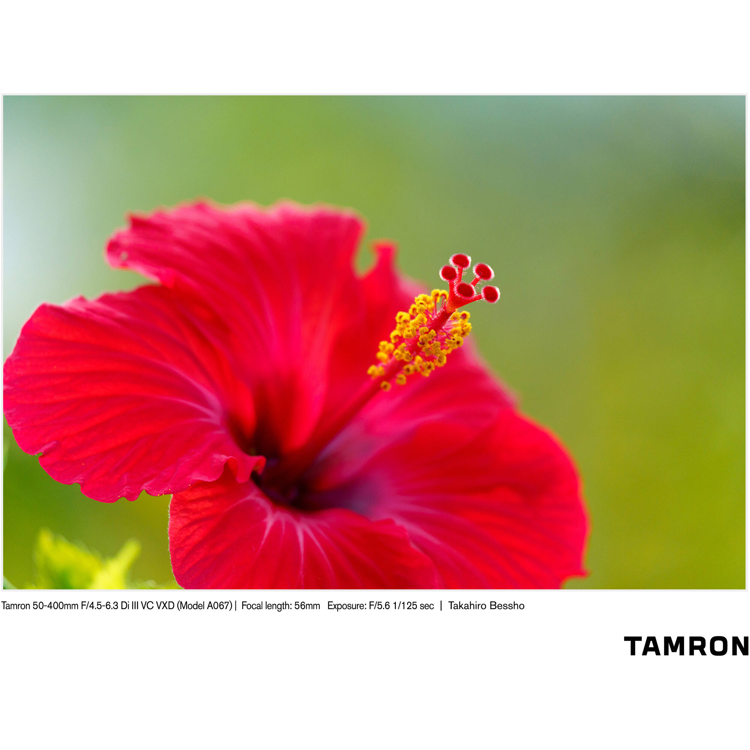Tamron 50-400mm f/4.5-6.3 Di III VC VXD Objectif (Sony E)