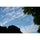 Tamron 50-400mm f/4.5-6.3 Di III VC VXD Lens (Nikon Z)