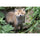 Tamron 50-400mm f/4.5-6.3 Di III VC VXD Lens (Nikon Z)